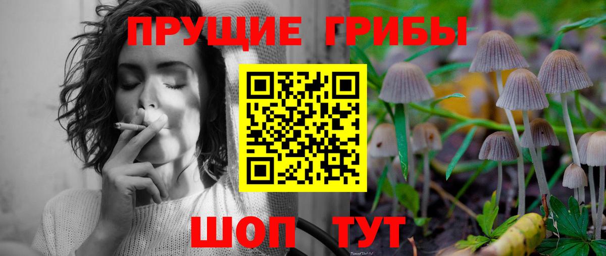 Галлюциногенные грибы Cubensis  купить наркотики цена  Вход с VPN  Тулун  Галлюциногенные грибы Magic Shrooms 