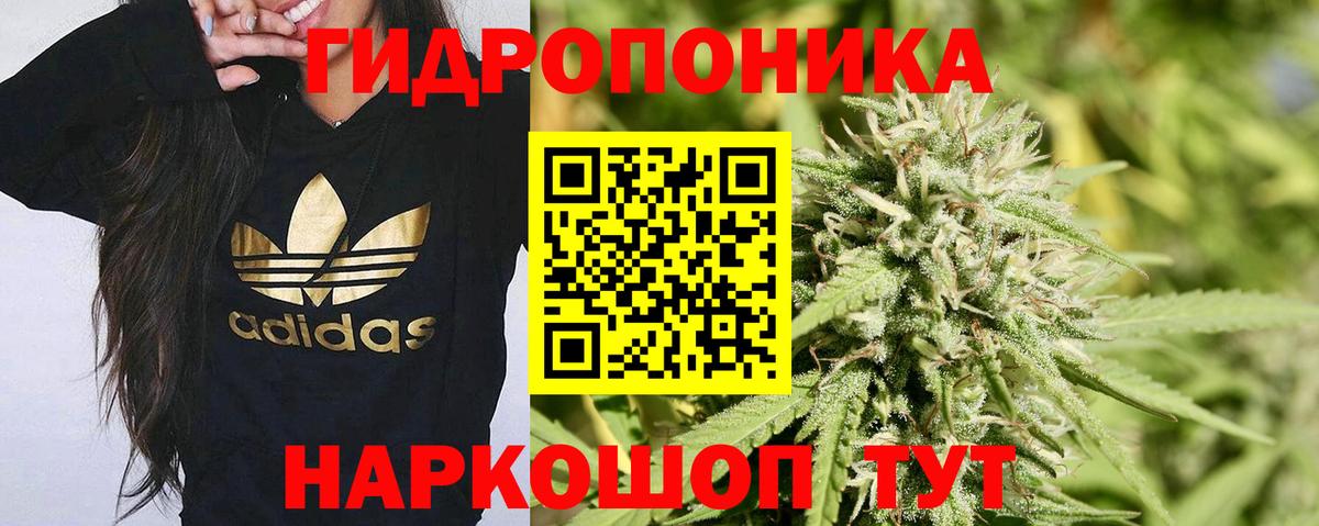 Шишки марихуана White Widow  Марихуана индика  Бошки Шишки Amnesia  Вход с VPN  Тулун 
